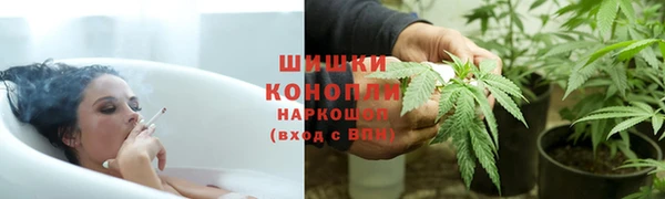 гашик Вяземский