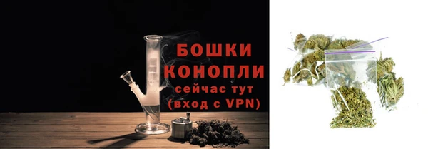 стаф Ессентукская