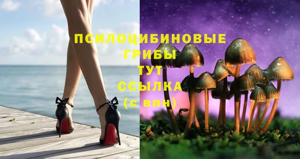 jwh Корсаков