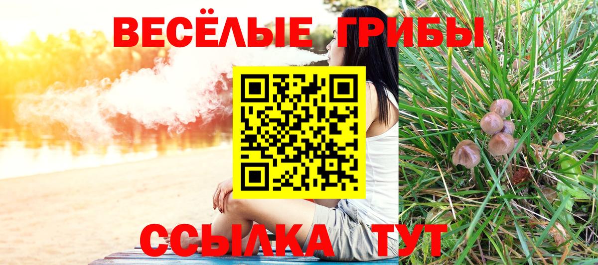 Галлюциногенные грибы мухоморы  Вход с VPN  Старый Оскол 