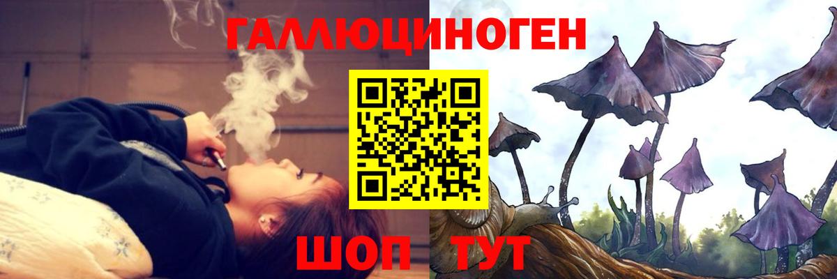 Галлюциногенные грибы Psilocybine cubensis Старый Оскол
